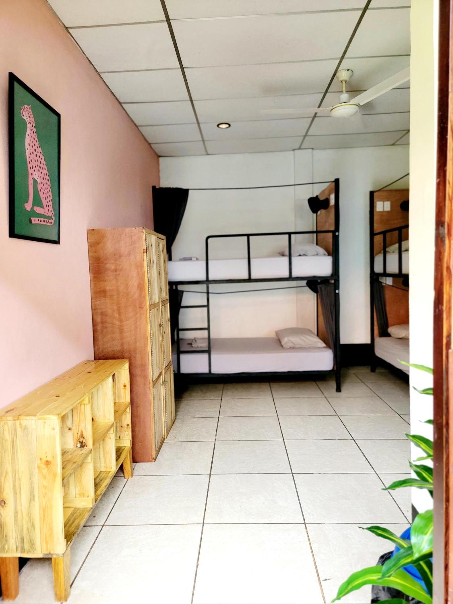 Poco A Poco Hostel León Exteriör bild